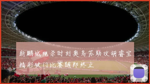 新鹏城绝杀时刻奥乌苏助攻胡睿宝精彩破门比赛随即终止