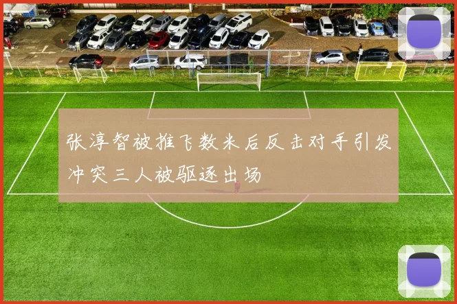 张淳智被推飞数米后反击对手引发冲突三人被驱逐出场